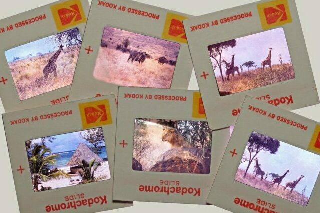 slide, diapositive, photography, analog, retro, analog photography